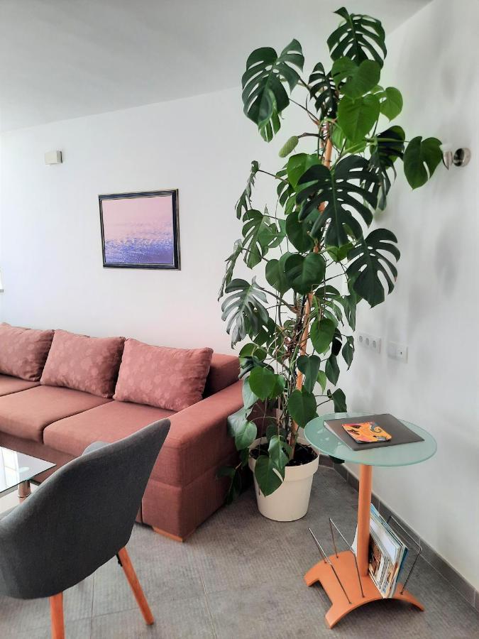 ברבריגה Apartment Mato מראה חיצוני תמונה